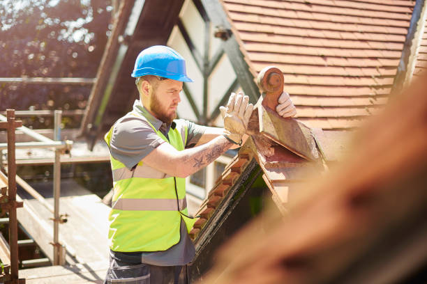 Best Metal Roofing Contractor  in Trophy Clu, TX